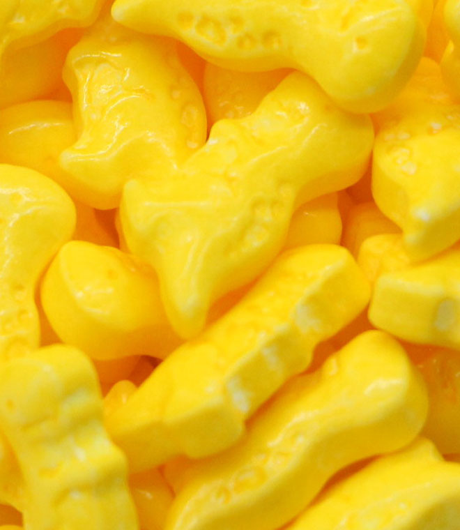 Dinosaur Sprinkles Press Candy