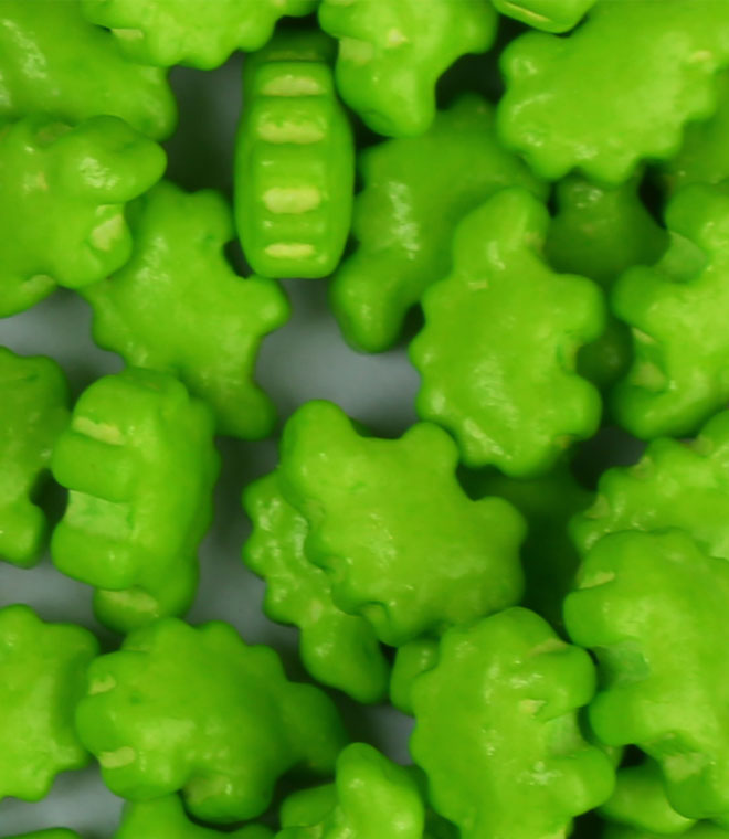 Dinosour Sprinkles Press Candy